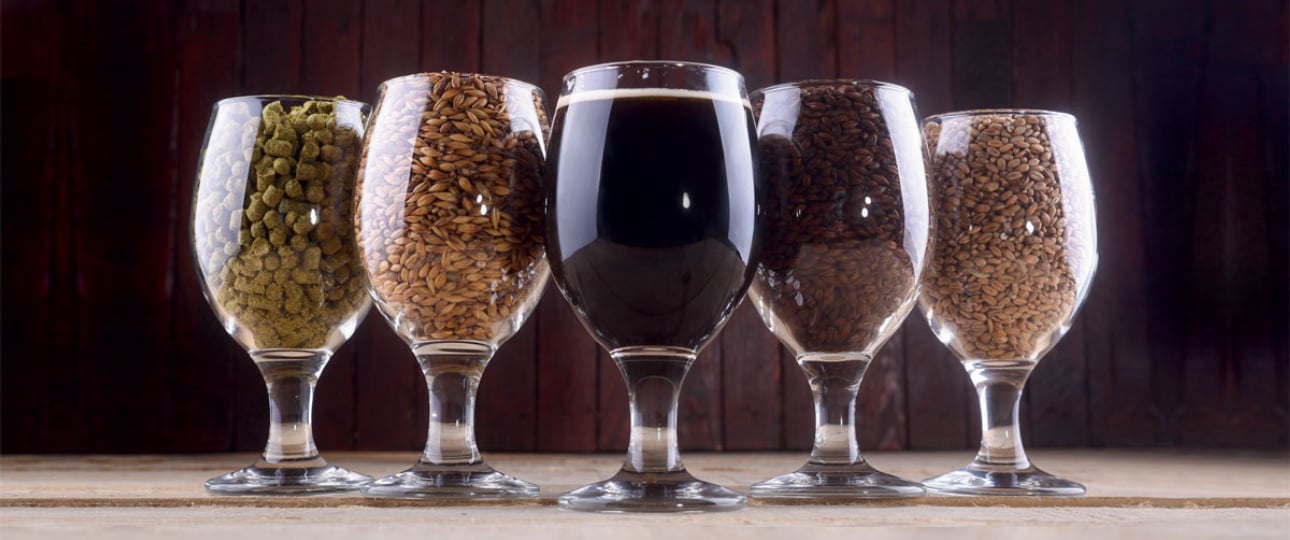 PREMIUM MALZE - NICHT NUR FÜR CRAFT BEER