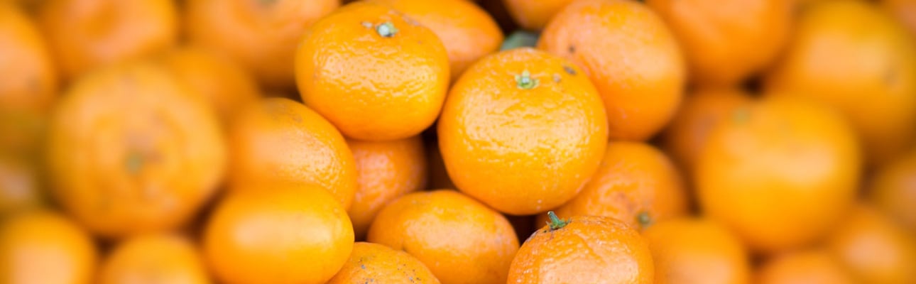 FEINE FRUCHTSÄFTE UND WEINE